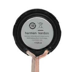 HARMAN/KARDON FLOW 600CF avtozvočniki