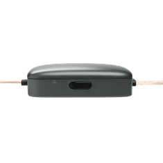 HARMAN/KARDON FLOW 600CF avtozvočniki