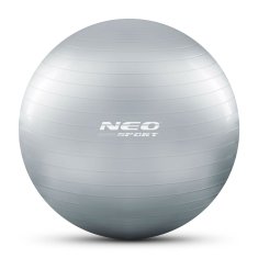 shumee Vadbena žoga 65 cm NS-951 srebrna