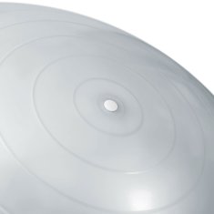 shumee Vadbena žoga 65 cm NS-951 srebrna