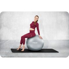 shumee Vadbena žoga 65 cm NS-951 srebrna