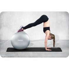 shumee Vadbena žoga 65 cm NS-951 srebrna