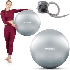 shumee Vadbena žoga 65 cm NS-951 srebrna