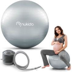 shumee Aerobna žoga za nosečnice 65 cm NS-951 siva