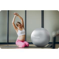 shumee Aerobna žoga za nosečnice 65 cm NS-951 siva