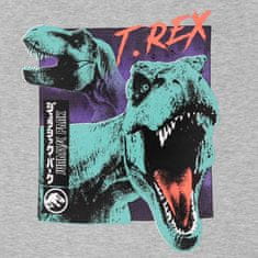 Jurassic World Jurassic World Siva bombažna pižama za dečke, DVOJNA pižama z dolgimi rokavi 158-164cm