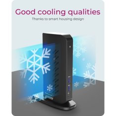 IcyBox IB-DK2252AC 12-in-1 USB-C/A priklopna postaja z DisplayLink