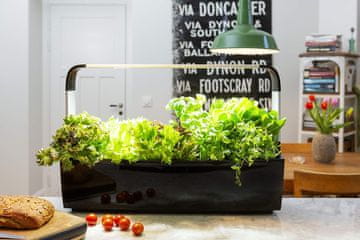 Tregren Pametni vrtiček T12 črn