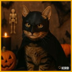 Korbi Maček v maski Batman – Bat-Cat, zabaven kostum za noč čarovnic, TikTok viralni hit