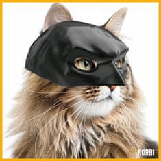 Korbi Maček v maski Batman – Bat-Cat, zabaven kostum za noč čarovnic, TikTok viralni hit