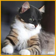 Korbi Maček v maski Batman – Bat-Cat, zabaven kostum za noč čarovnic, TikTok viralni hit