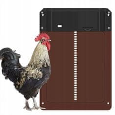 Dexxer Elektronska avtomatska vrata za kokošnjak s senzorjem mraka 35x24cm rjava
