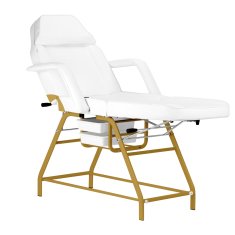 ACTIVESHOP 557G kozmetični stol z zlato-belimi pladnji