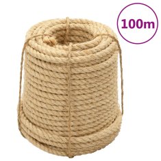 Vidaxl Vrv iz sisala 5 kosov 14 mm 100 m