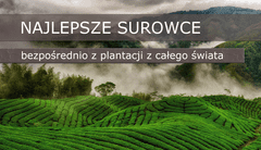 shumee IZVLEČEK GROZDNIH PEMEN OPC HANOJU 400 300 KAPSUL