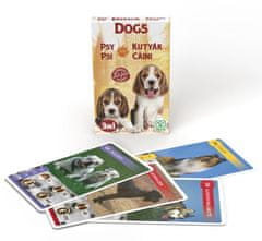 Cartamundi Igra s kartami 10035084 Animal Trumps 3v1: Psi