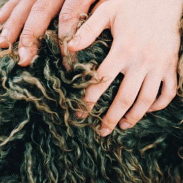 shumee LOČITEV Heady Metal