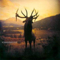 shumee KOSHEEN Resist 2xLP