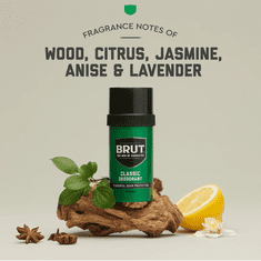 Brut Classic Deodorant Brut dezodorant v stiku brez alkohola za moške 76 g