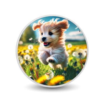 shumee Srebrni kovanec Springtime Puppy Joy, 1 oz