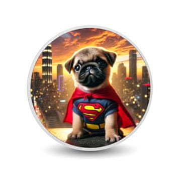 shumee Superpug ob sončnem zahodu 1 oz srebrni kovanec