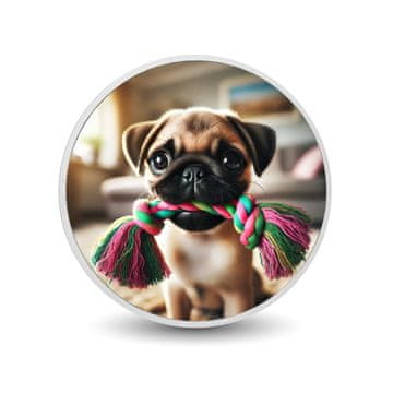 shumee Srebrni kovanec Playtime Pug 1 oz
