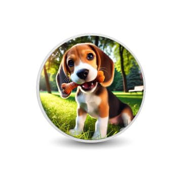 shumee Srebrni kovanec Kost sreče 1 oz