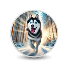 shumee Arktični sprint: Huskyjev vesel tek skozi zimo, kovanec za 1 oz