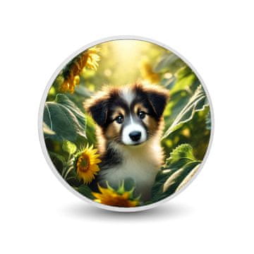 shumee Sončno obsijana ljubica: Med sončnicami 1 oz kovanec