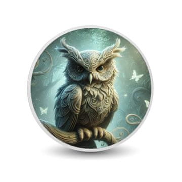 shumee Srebrni kovanec Intricate Owl in Magic Glow, 1 oz