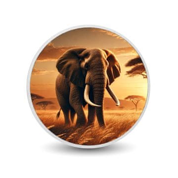 shumee Srebrni kovanec Titan zlate savane