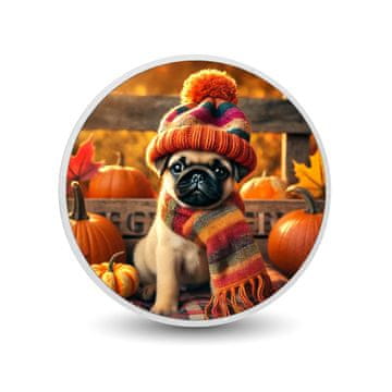 shumee Srebrni kovanec Jesenska žetev Pug 1 oz