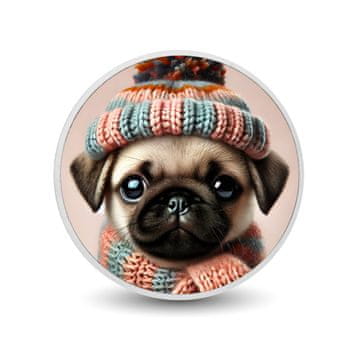 shumee Srebrni kovanec Cozy Pug Vibes 1 oz