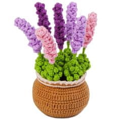 shumee Kvačkane - Pisana sivka