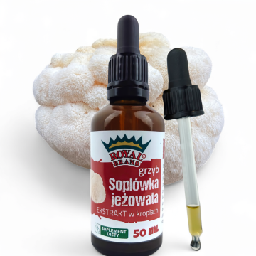 shumee Levja griva - močan izvleček v 50 ml čajnih kapljicah