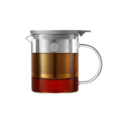 shumee Steklen vrč z infuzerjem 500 ml, model CD2001, BUYDEEM