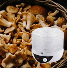 shumee Dehidrator gob, sadja in zelenjave 250 W