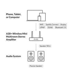 shumee Arylic A30+, 30 W x 2, WiFi, mini stereo ojačevalnik, črno/srebrn