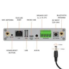 shumee Arylic A30+, 30 W x 2, WiFi, mini stereo ojačevalnik, črno/srebrn