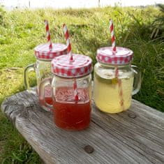 Orion Steklen kozarec za pijačo s pokrovom in slamico 450 ml