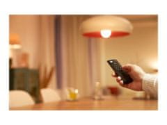 shumee Daljinski upravljalnik WiZ Wizarding World