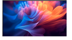 shumee Dell | P2725H | 27" | IPS | 1920 x 1080 slikovnih pik | 16:9 | 36-mesečna garancija | 8 ms | 300 cd/m² | Črna | 1 HDMI vhod | 100 Hz