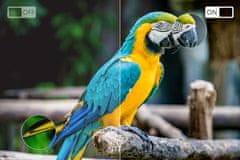 shumee 65'' Kruger&Matz 4K ULTRA HD PAMETNI TV