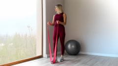 shumee Komplet 5 gumic za vadbo trening rehabilitacijo fitnes trak 2M Rebel