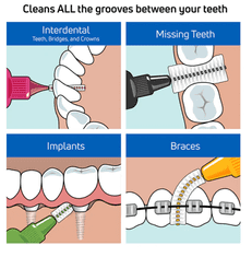 Tepe Medzobna ščetka, zelena, velikost 5, 6 kosov