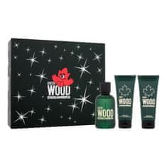 Dsquared² Green Wood SET1 Set toaletna voda 100 ml + gel za prhanje 100 ml + balzam po britju 100 ml za moške