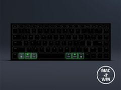 Razer Tipkovnica Joro, prenosna, US SLO g.
