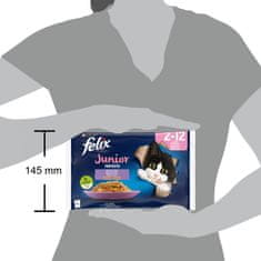 Felix Fantastic Junior mokra hrana za mačke, piščanec in losos v želeju