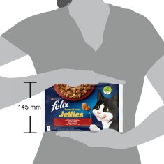 Felix Sensations mokra hrana za mačke, piščanec in govedina z zelenjavo v želeju