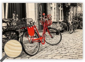 Lesena slika: kolo, 485x340